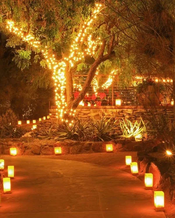 Outdoor event consulting with lit trees and lantern-lined pathway